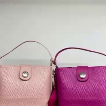 Bolsa Mônica Sanches