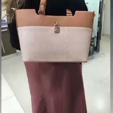 Bolsa Mônica Sanches